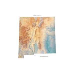  New Mexico Topographic Wall Map by Raven Maps, Print on 