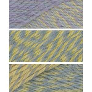    Jojoland Rhythm Yarn M32 Victorian Lavender Arts, Crafts & Sewing