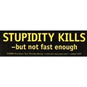  Stupidity Kills Automotive