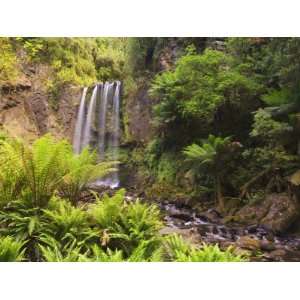  Hopetoun Falls, Great Otway National Park, Victoria 