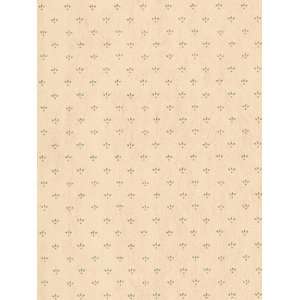  Wallpaper Steves Color Collection   Brown BC1580079