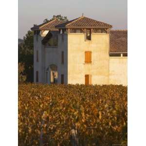  Winery Building and Golden Vineyard, Domaine Des Verdots 