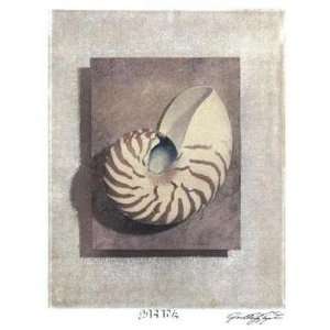  Seashell Study II Poster Print