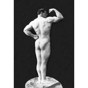  Statuesque Back and Arm Curl 20x30 poster