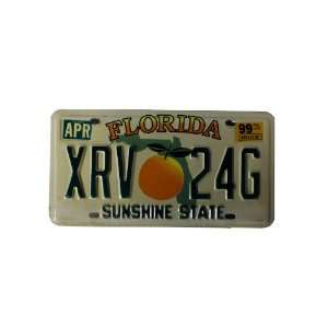  Florida, Orange Fruit over Green State Map graphic License 