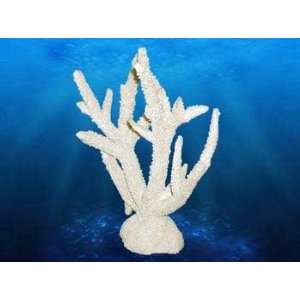  Coral Replica   Staghorn Coral 7.5x3.5x9.5 Everything 