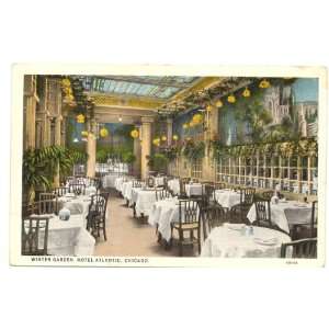 1930s Vintage Postcard Winter Garden Hotel Atlantic (Clark Street near 