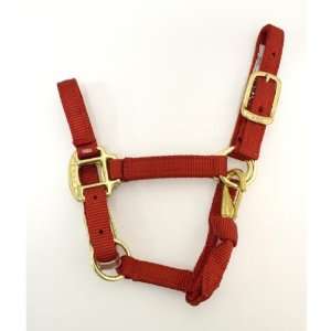  Premium Burgundy Foal Horse Halter with Snap Sports 