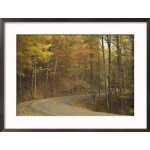  Road Winding Through Autumn Colors, Pine Mountain State 