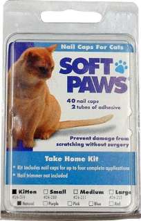 Soft Paws for Kittens  