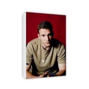 Andriy Shevchenko   Canvas   Medium   30x45cm 