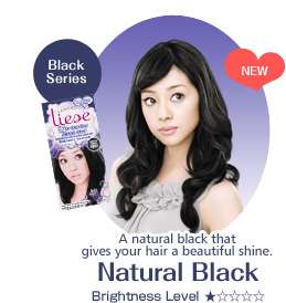 Kao Japan liese Prettia Bubble Hair Color Dying Kit  