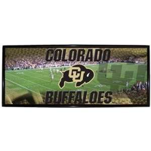  Colorado Buffaloes CU NCAA Basketball 9.5 X 21.75 Mylar 
