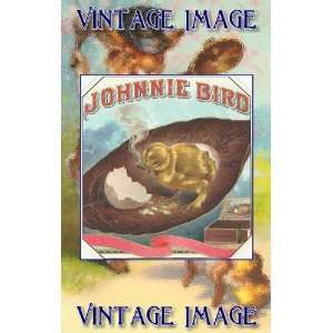   inch (7.5 x 5cm) Acrylic Fridge Magnet Bird Johnnie Bird Vintage Image