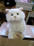SIGNATURE WEBKINZ WHITE PERSIAN CAT NEW  