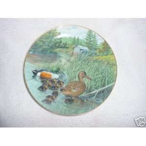  The Northern Shoveler by Bart Jerner Collector Plate 