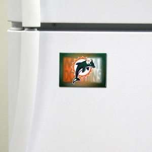  Miami Dolphins Nfl Magnet 