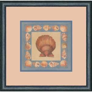 Coquillage 4 by Laurence David   Framed Artwork 