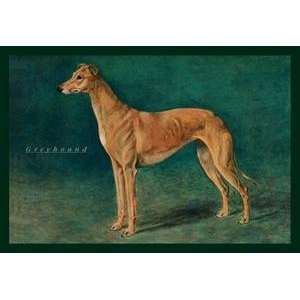   poster printed on 20 x 30 stock. Coursing Greyhound