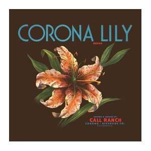   Corona Lily Metal Sign Country Home Decor Wall Accent