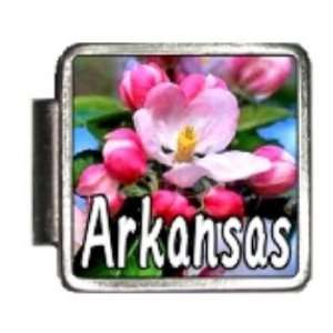  Arkansas State Flower Apple blossom Photo Italian Charm 