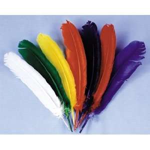    Costumes For All Occasions BB07RD Indian Feathers Red Toys & Games