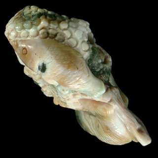 Stunning Carved Ocean Jasper Sealife Pendant Bead  