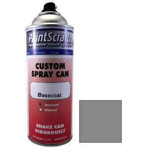  12.5 Oz. Spray Can of Light Smoke Metallic Touch Up Paint 