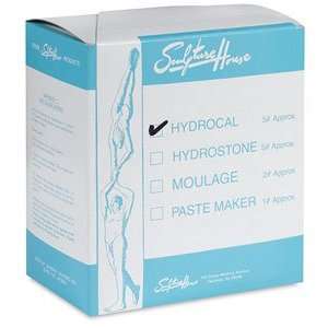  Sculpture House Hydrocal   White, 5 lb, Hydrocal Arts 