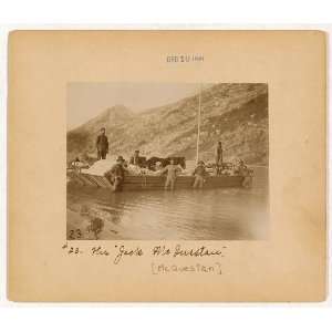  The Jack McQuestan,scow,Horse,dogs,c1897