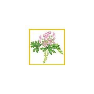  EO3 Clary Sage Essential Oil