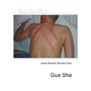  Gua Sha Ronald Cohn Jesse Russell Books