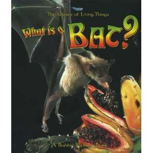  Crabtree Publishing   What is a Bat 