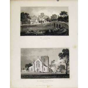  St Asaph Flintshire St Asaph Cathedral Wales Old Print 