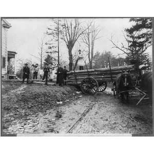   loading log,Horse drawn wagon,College Point,NY,1906