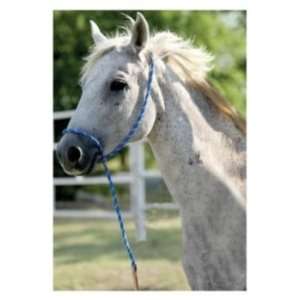  Mustang Quick Catch Rope Halter