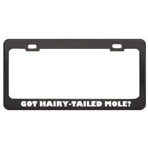 Got Hairy Tailed Mole? Animals Pets Black Metal License Plate Frame 