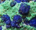 This b rightly colored azurite & malachite specimen really stands out