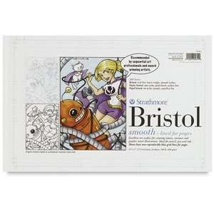   17, 500 Series Bristol, Pkg of 24 Sheets, Plate Arts, Crafts & Sewing