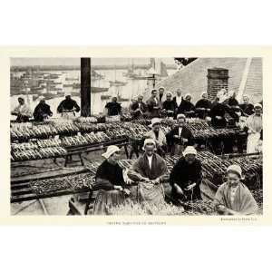  1921 Print Brittany France Women Drying Fishermen Sardines 