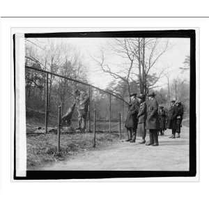 Historic Print (L) Coolidge boys & Mrs. Coolidge at Zoo  