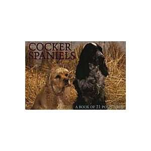  Cocker Spaniel Postcard Book