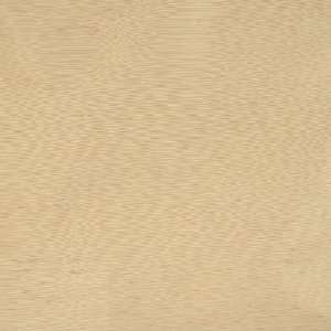  Fabricut Vallejo Lime 2991808