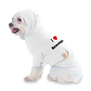  I Love/Heart Meteorologists Hooded (Hoody) T Shirt with 