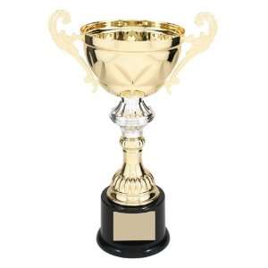  11 1/2 GOLD METAL Cup Trophy