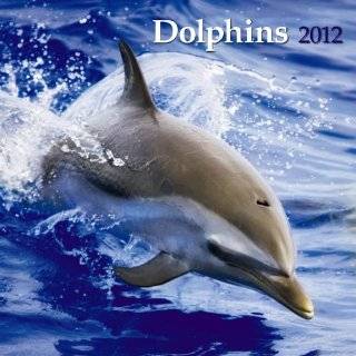 Dolphins 2012 Calendar (Multilingual Edition) by Browntrout Publishers 