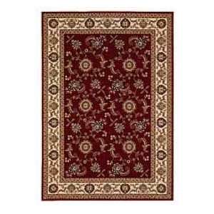  828 Visions 5884320 Traditional 53 x 77 Area Rug