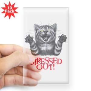  Sticker Clear (Rectangle 10Pk) Stressed Out Cat 