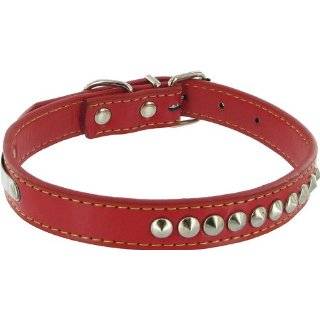  Kakadu Pet Give a Dog a Bone Leather Dog Collar, 1/2 x 12 