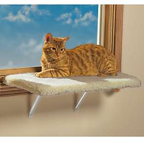 KITTY CAT PET WINDOW SHELF plush soft bed cover LARGE or REGULAR SIZE 